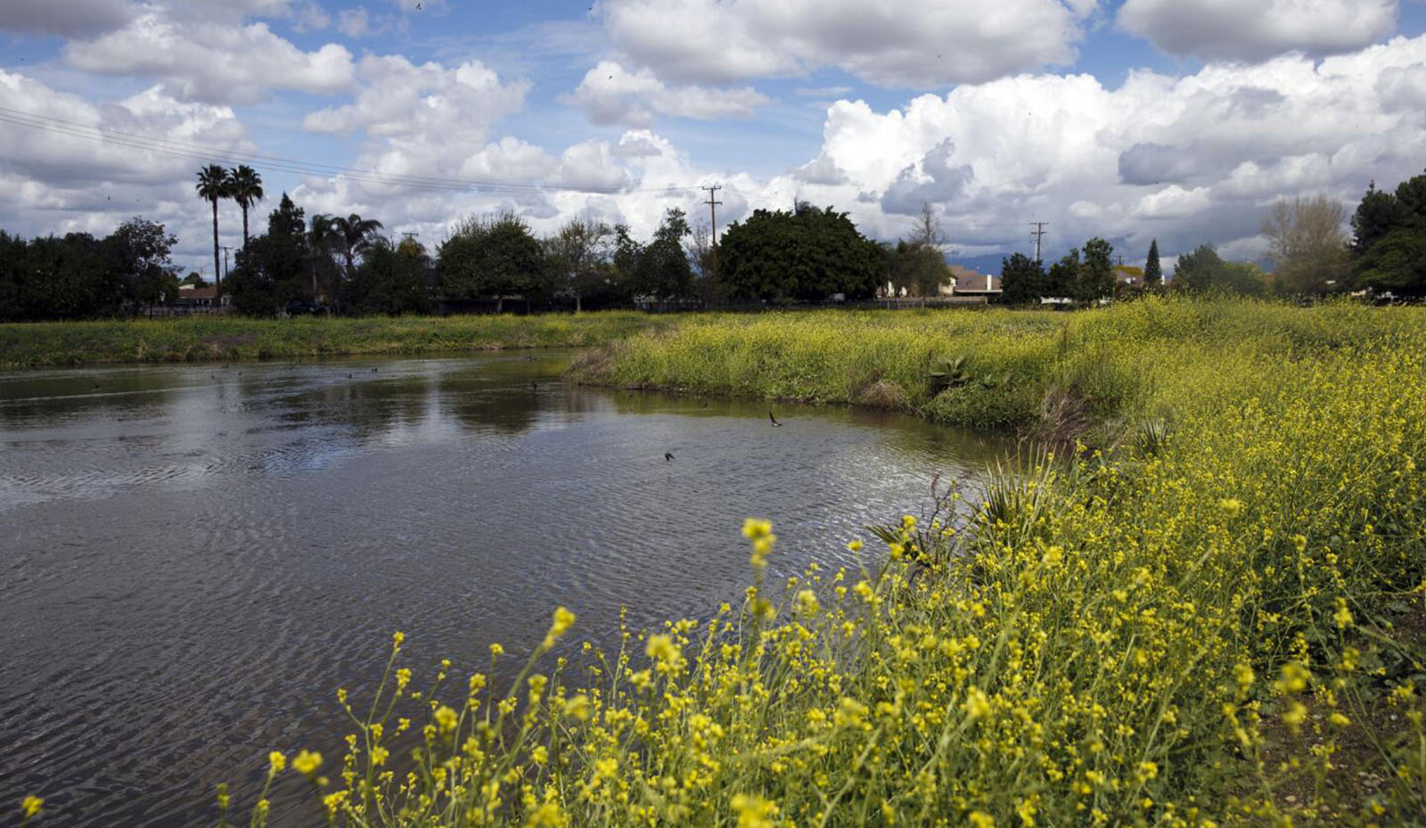 LA County Spreading Basin