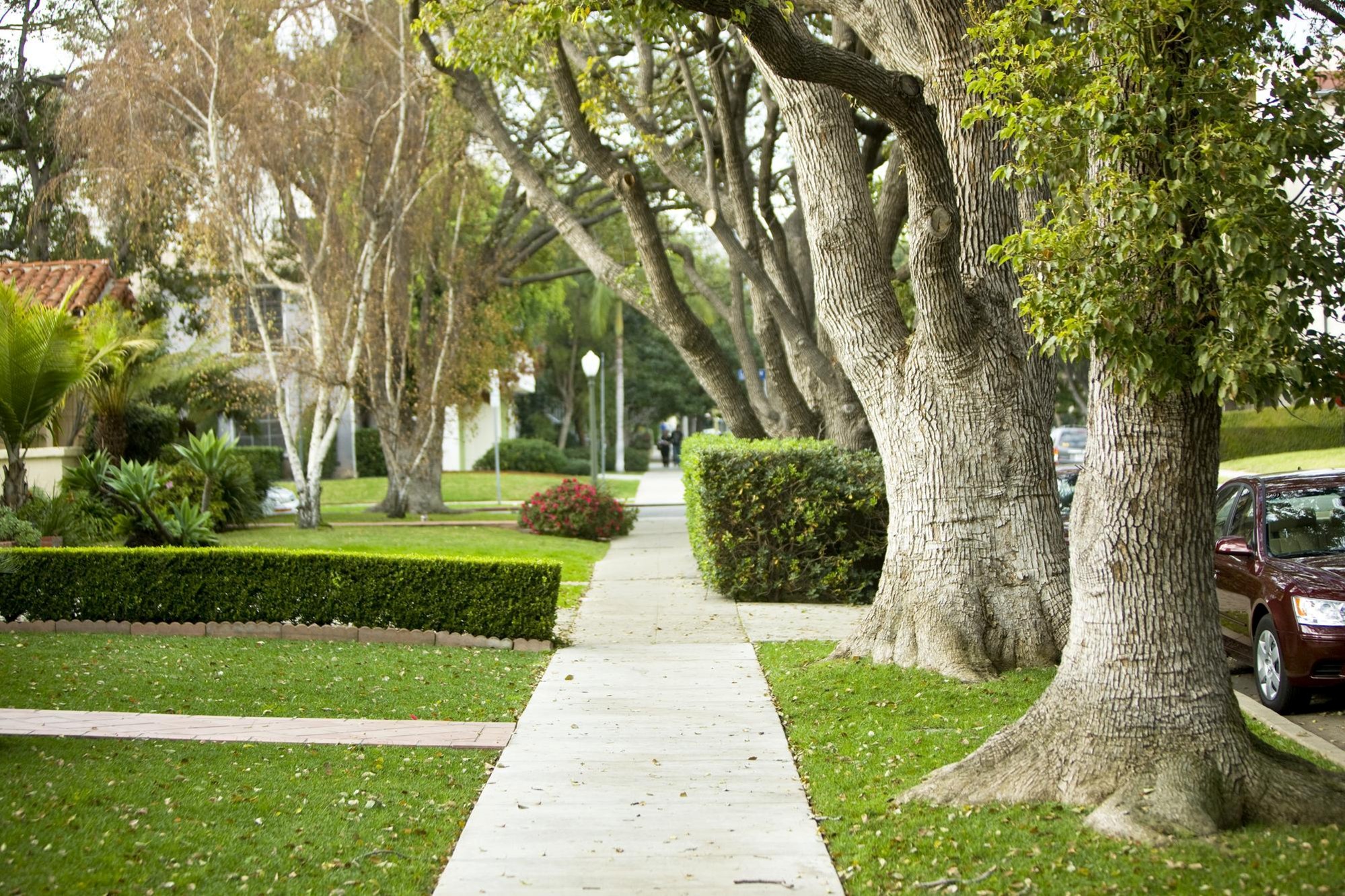 Residential sidewalk with mature trees